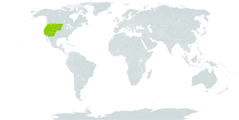 Ipomopsis congesta world distribution map, present in United States of America