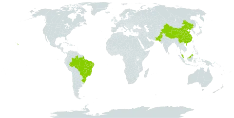 Iresine herbstii world distribution map, present in Brazil, China, Malaysia, Pakistan, and United States of America