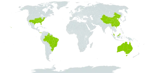 Iresine world distribution map, present in American Samoa, Australia, Brazil, China, Guyana, Malaysia, Panama, and United States of America