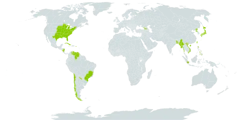 Iris domestica world distribution map, present in Åland Islands, Andorra, Argentina, Bangladesh, Brazil, Chile, China, Cook Islands, Cuba, Dominica, Micronesia (Federated States of), Georgia, Indonesia, Japan, Myanmar, Nicaragua, Nepal, Philippines, Puerto Rico, Korea (Democratic People's Republic of), Tonga, Taiwan, Province of China, United States of America, Venezuela (Bolivarian Republic of), and Viet Nam