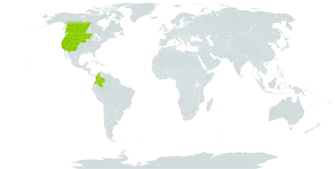 Iris missouriensis world distribution map, present in Canada, Colombia, and United States of America