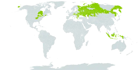 Iris pumila world distribution map, present in Albania, Austria, Bulgaria, Canada, Czech Republic, Micronesia (Federated States of), Greece, Hungary, Indonesia, Kazakhstan, Romania, Russian Federation, Ukraine, and United States of America