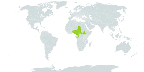 Irvingia smithii world distribution map, present in Angola, Benin, Central African Republic, Cameroon, Congo, Nigeria, South Sudan, and Chad