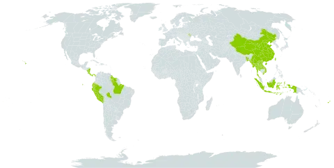 Ischaemum timorense world distribution map, present in Andorra, Bangladesh, Brazil, China, Costa Rica, Ecuador, Fiji, Guyana, Indonesia, Lao People's Democratic Republic, Moldova (Republic of), Myanmar, Nicaragua, Panama, Peru, Suriname, Thailand, Taiwan, Province of China, United States of America, and Viet Nam