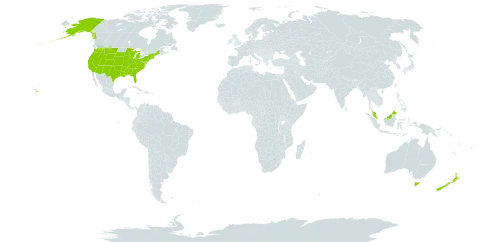 Isoetes world distribution map, present in Australia, Malaysia, New Zealand, and United States of America