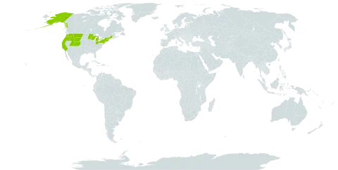 Isoetes tenella world distribution map, present in United States of America