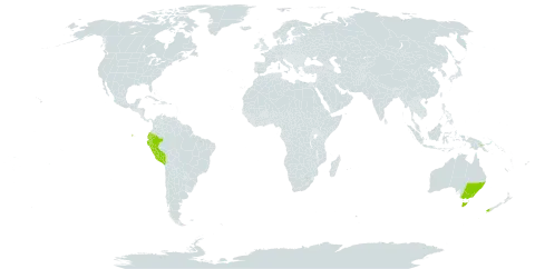 Isolepis aucklandica world distribution map, present in Australia, Ecuador, New Zealand, Peru, and Papua New Guinea