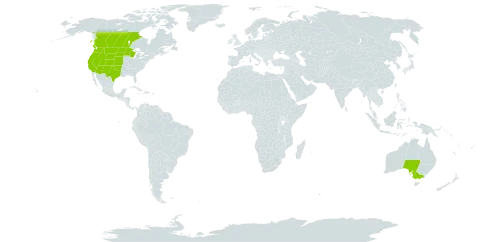 Iva axillaris world distribution map, present in Australia, Canada, and United States of America