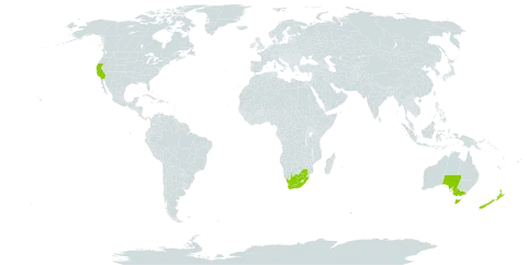 Ixia polystachya world distribution map, present in Australia, New Zealand, United States of America, and South Africa