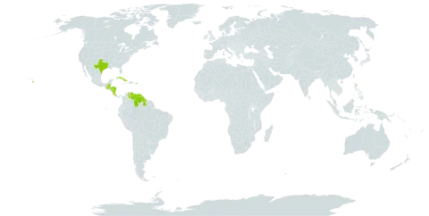 Ixophorus world distribution map, present in Belize, Costa Rica, Cuba, Guatemala, Guyana, Honduras, Nicaragua, Puerto Rico, United States of America, and Venezuela (Bolivarian Republic of)