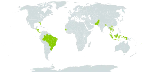 Ixora coccinea world distribution map, present in Andorra, Bangladesh, Belize, Brazil, Costa Rica, Fiji, Gambia, Honduras, Indonesia, Nicaragua, Pakistan, Panama, Senegal, Thailand, United States of America, and Viet Nam