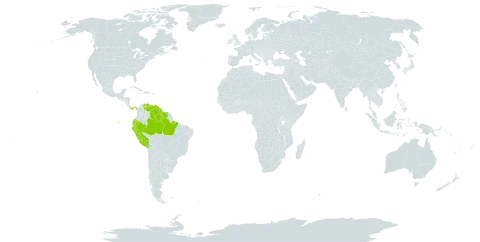 Ixora sparsifolia world distribution map, present in Brazil, Ecuador, Guyana, Panama, Peru, Suriname, and Venezuela (Bolivarian Republic of)