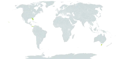 Jacaranda world distribution map, present in Australia, Panama, and United States of America