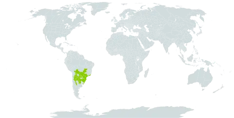 Janusia guaranitica world distribution map, present in Argentina, Bolivia (Plurinational State of), Brazil, Paraguay, and Uruguay