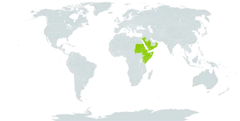 Jatropha pelargoniifolia world distribution map, present in Eritrea, Ethiopia, Kenya, Oman, Saudi Arabia, Sudan, Somalia, and Yemen