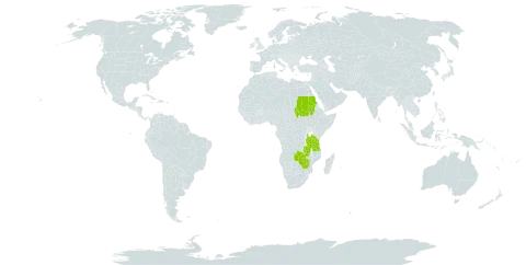 Jatropha schweinfurthii world distribution map, present in Sudan, Tanzania, United Republic of, Uganda, Zambia, and Zimbabwe