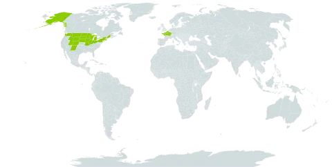 Juncus alpinoarticulatus world distribution map, present in France and United States of America