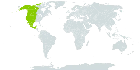 Juncus balticus subsp. ater world distribution map, present in Canada, Guatemala, Mexico, and United States of America