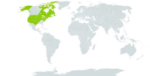 Juncus balticus subsp. littoralis world distribution map, present in Canada, France, and United States of America