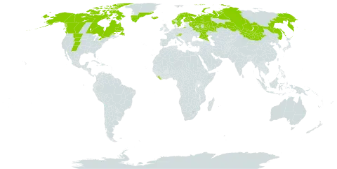 Juncus biglumis world distribution map, present in Austria, Canada, Finland, United Kingdom of Great Britain and Northern Ireland, Greenland, Iceland, Liberia, Mongolia, Norway, Russian Federation, Sweden, and United States of America