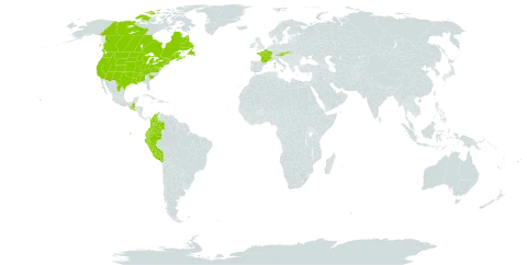 Juncus dudleyi world distribution map, present in Austria, Bosnia and Herzegovina, Canada, Colombia, Ecuador, France, United Kingdom of Great Britain and Northern Ireland, Guatemala, Mexico, Peru, El Salvador, Slovakia, and United States of America