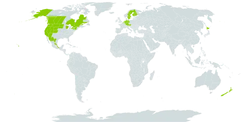 Juncus ensifolius world distribution map, present in Austria, Belgium, Canada, Germany, Finland, Georgia, Japan, Mexico, Netherlands, New Zealand, Sweden, and United States of America