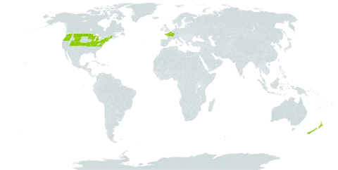 Juncus gerardii world distribution map, present in France, New Zealand, and United States of America