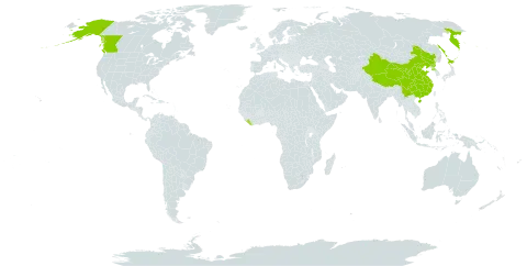 Juncus haenkei world distribution map, present in Canada, China, Japan, Liberia, Korea (Democratic People's Republic of), Russian Federation, and United States of America