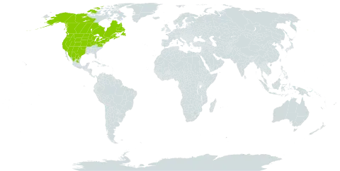 Juncus nodosus world distribution map, present in Canada, Mexico, and United States of America