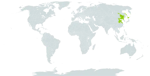 Juncus papillosus world distribution map, present in China, Japan, Korea (Democratic People's Republic of), and Russian Federation