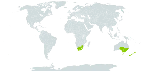 Juncus pauciflorus world distribution map, present in Australia, New Zealand, and South Africa