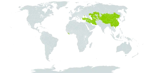 Juncus persicus subsp. libanoticus world distribution map, present in Afghanistan, China, Iran (Islamic Republic of), Iraq, Kazakhstan, Kyrgyzstan, Lebanon, Liberia, Mongolia, Syrian Arab Republic, Tajikistan, Turkmenistan, Turkey, Ukraine, and Uzbekistan