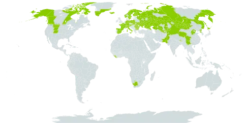 Juncus triglumis subsp. triglumis world distribution map, present in Andorra, Austria, Bulgaria, Bhutan, Canada, Switzerland, China, Germany, Spain, Finland, France, United Kingdom of Great Britain and Northern Ireland, Greenland, India, Iceland, Italy, Japan, Kazakhstan, Kyrgyzstan, Liberia, Liechtenstein, Mongolia, Norway, Nepal, Pakistan, Poland, Korea (Democratic People's Republic of), Romania, Russian Federation, Slovakia, Sweden, Tajikistan, Ukraine, United States of America, Uzbekistan, and South Africa