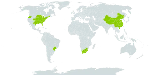 Juniperus virginiana world distribution map, present in Brazil, China, United States of America, and South Africa