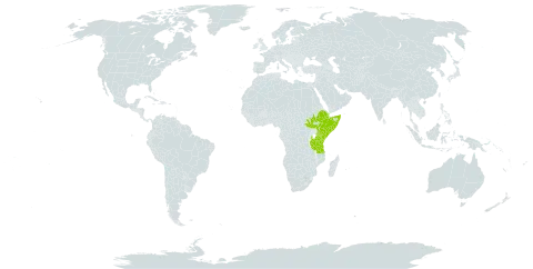 Justicia ornatopila world distribution map, present in Djibouti, Ethiopia, Kenya, Somalia, South Sudan, Tanzania, United Republic of, and Uganda