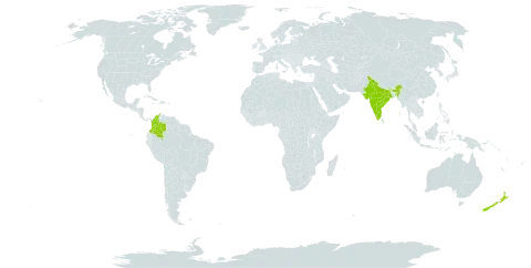 Kalanchoe grandiflora world distribution map, present in Colombia, India, and New Zealand