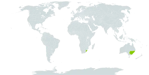 Kalanchoe longiflora world distribution map, present in Australia and South Africa