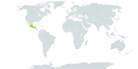 Kearnemalvastrum lacteum world distribution map, present in Colombia, Guatemala, and Mexico