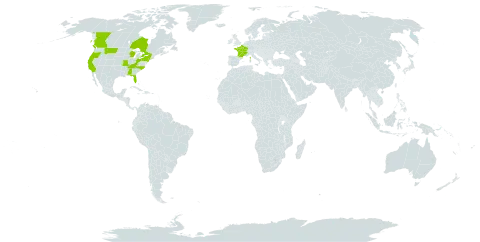 Kickxia spuria world distribution map, present in Canada, France, and United States of America