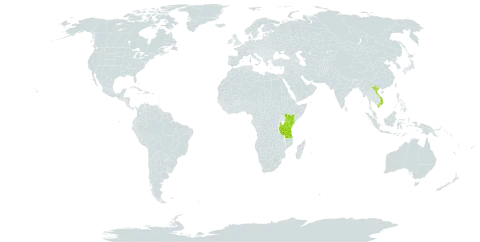 Kleinia petraea world distribution map, present in Kenya, Tanzania, United Republic of, and Viet Nam