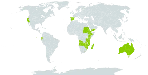 Kniphofia world distribution map, present in Angola, Australia, Burkina Faso, Ecuador, Eritrea, Spain, Ethiopia, Kenya, Lesotho, Madagascar, Mozambique, Rwanda, Sudan, eSwatini, Turks and Caicos Islands, Tanzania, United Republic of, Uganda, United States of America, Yemen, Zambia, and Zimbabwe