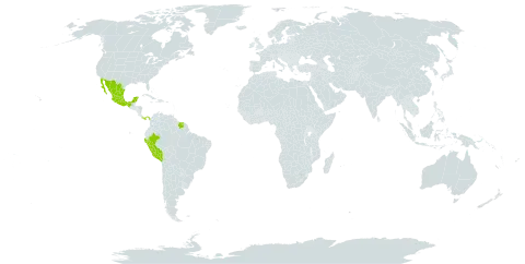 Kohleria world distribution map, present in Mexico, Panama, Peru, and Suriname