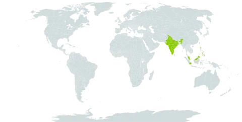 Kokoona world distribution map, present in Indonesia, India, Iceland, Malaysia, and Philippines