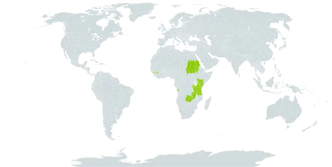 Kotschya aeschynomenoides world distribution map, present in Angola, Burundi, Guinea, Kenya, Malawi, Rwanda, Sudan, Tanzania, United Republic of, Uganda, and Zambia