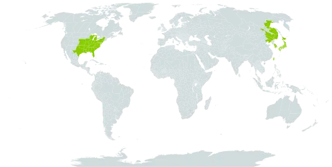 Kummerowia stipulacea world distribution map, present in China, Japan, Korea (Republic of), Nauru, Russian Federation, Taiwan, Province of China, and United States of America