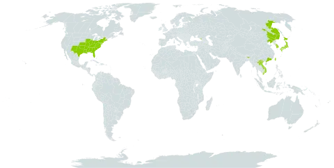 Kummerowia striata world distribution map, present in China, Georgia, India, Japan, Korea (Republic of), Lao People's Democratic Republic, Nauru, Russian Federation, Taiwan, Province of China, United States of America, and Viet Nam