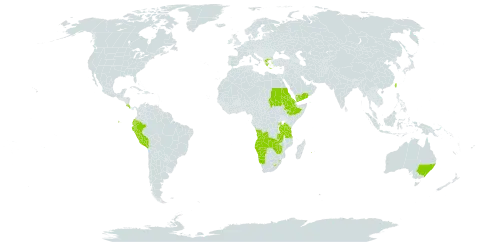 Lachnagrostis world distribution map, present in Angola, Australia, Burkina Faso, Costa Rica, Ecuador, Eritrea, Ethiopia, Greece, Lesotho, Namibia, Norfolk Island, Peru, Réunion, Rwanda, Sudan, eSwatini, Taiwan, Province of China, Tanzania, United Republic of, Uganda, Yemen, Zambia, and Zimbabwe