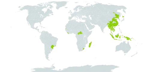 Lactuca indica world distribution map, present in Brazil, Central African Republic, China, Indonesia, India, Jamaica, Japan, Cambodia, Lao People's Democratic Republic, Liberia, Madagascar, Myanmar, Mauritius, Philippines, Papua New Guinea, Korea (Democratic People's Republic of), Réunion, Seychelles, Thailand, Taiwan, Province of China, Viet Nam, and South Africa