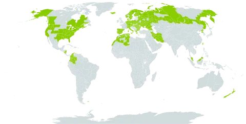 Lamium purpureum world distribution map, present in Åland Islands, Albania, Austria, Bulgaria, Belarus, Canada, Switzerland, Colombia, Czech Republic, Germany, Denmark, Algeria, Spain, Finland, Falkland Islands (Malvinas), France, Micronesia (Federated States of), Georgia, Greece, Hungary, Ireland, Iran (Islamic Republic of), Iceland, Italy, Morocco, Malaysia, Nicaragua, Netherlands, Norway, New Zealand, Poland, Korea (Democratic People's Republic of), Portugal, Romania, Russian Federation, Sweden, Turks and Caicos Islands, Tunisia, Taiwan, Province of China, Ukraine, and United States of America