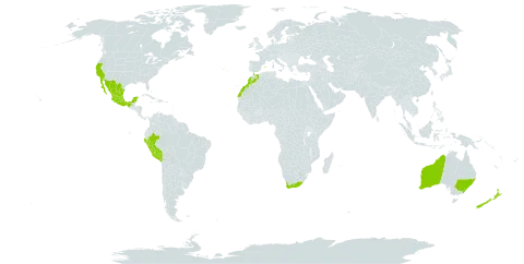 Lampranthus multiradiatus world distribution map, present in Australia, Spain, Morocco, Mexico, New Zealand, Peru, Portugal, United States of America, and South Africa